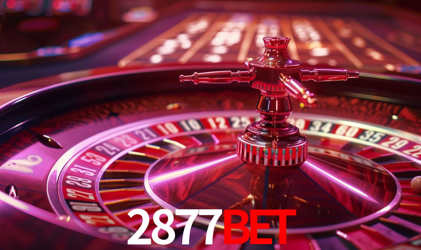 2877bet